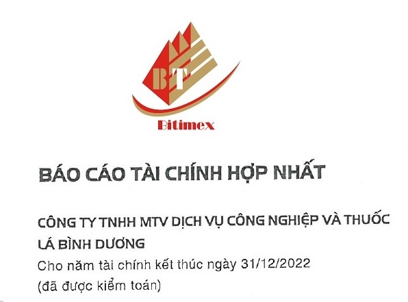 BCTC Kiểm toán 2022 - Hợp nhất