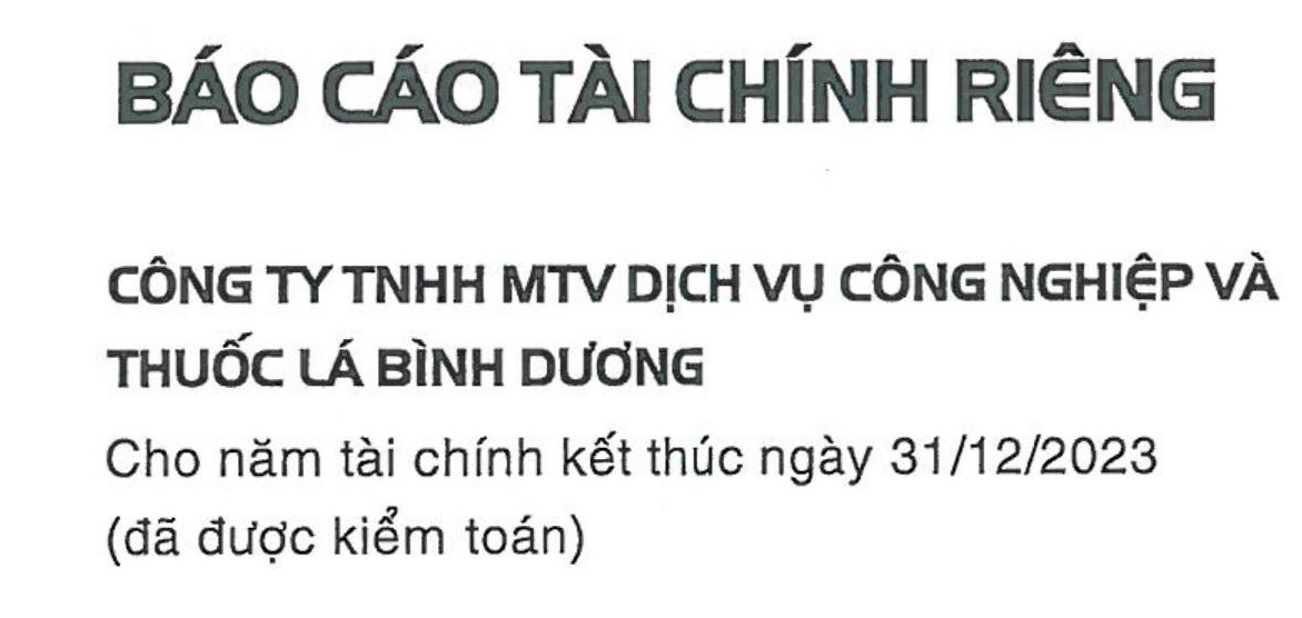 BCTC Kiểm Toán RIÊNG 2023