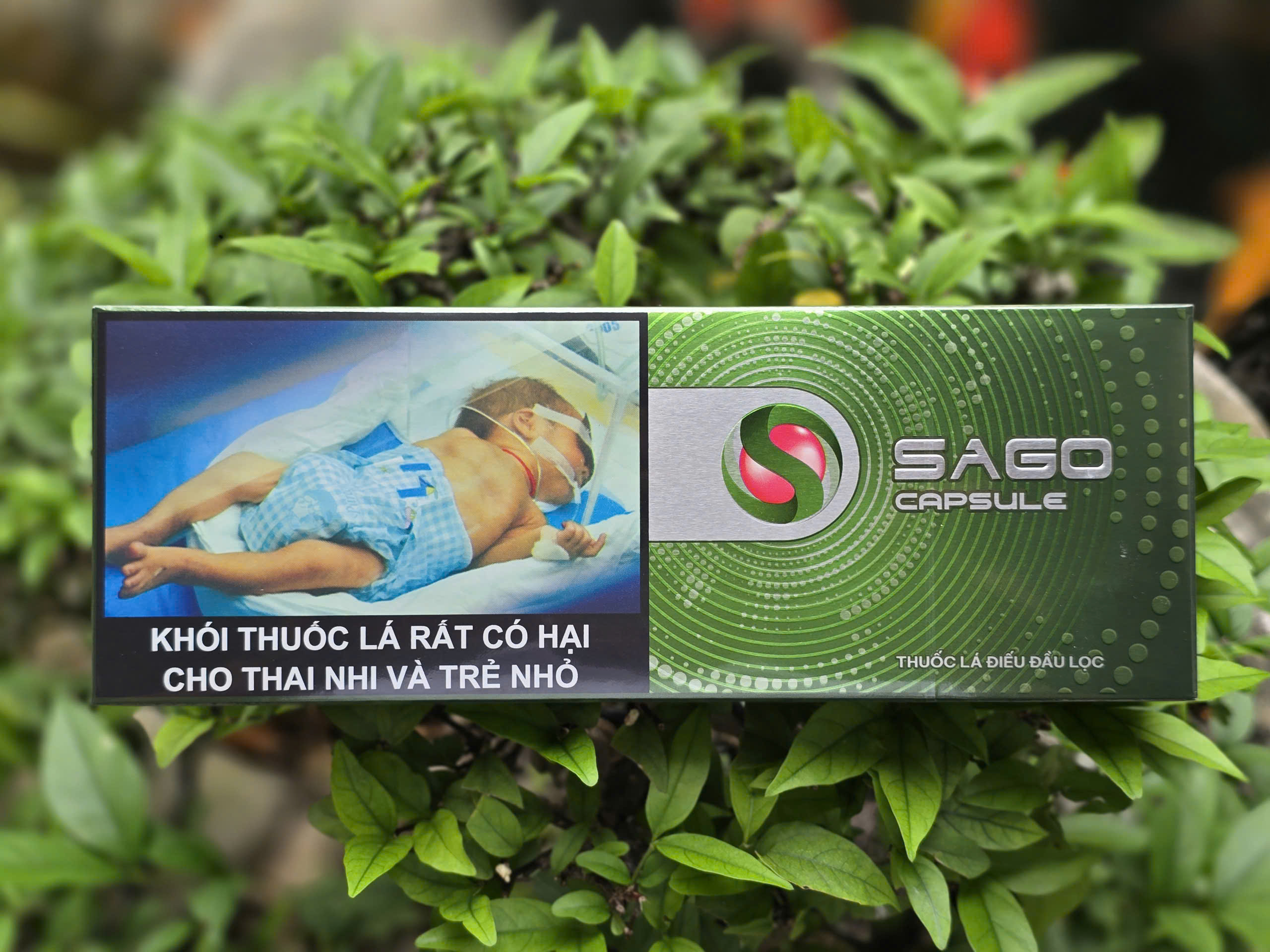 Tút Thuốc lá điếu đầu lọc SAGO Demi Guava